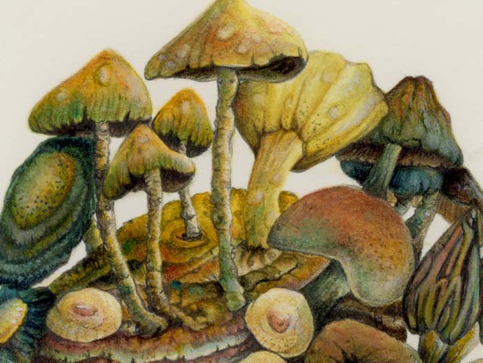 Mobile mushroom dwelling