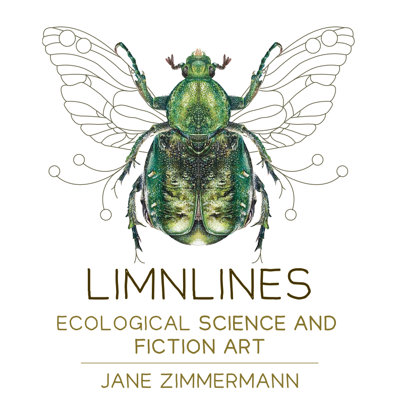 limnlines