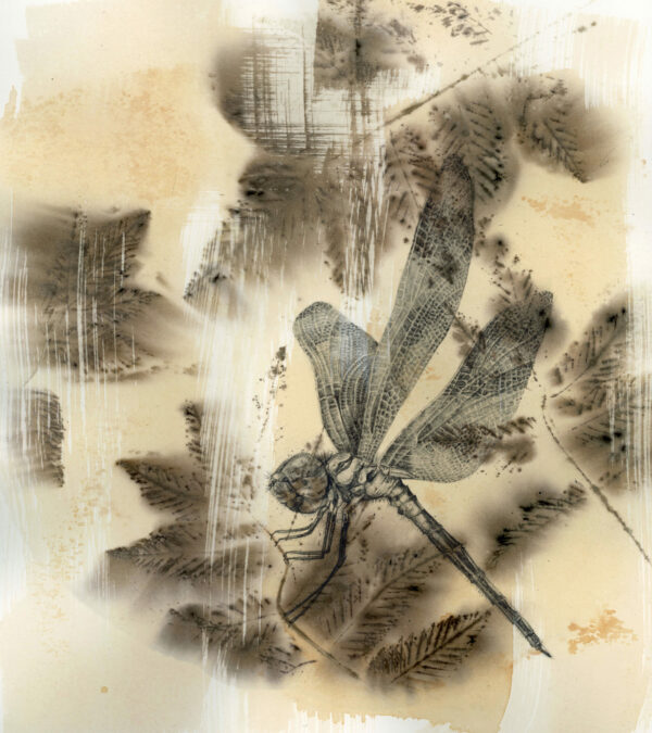 Dragonfly – Insects on Ecoprint Serie #1  / 265x290mm // unframed - SOLD