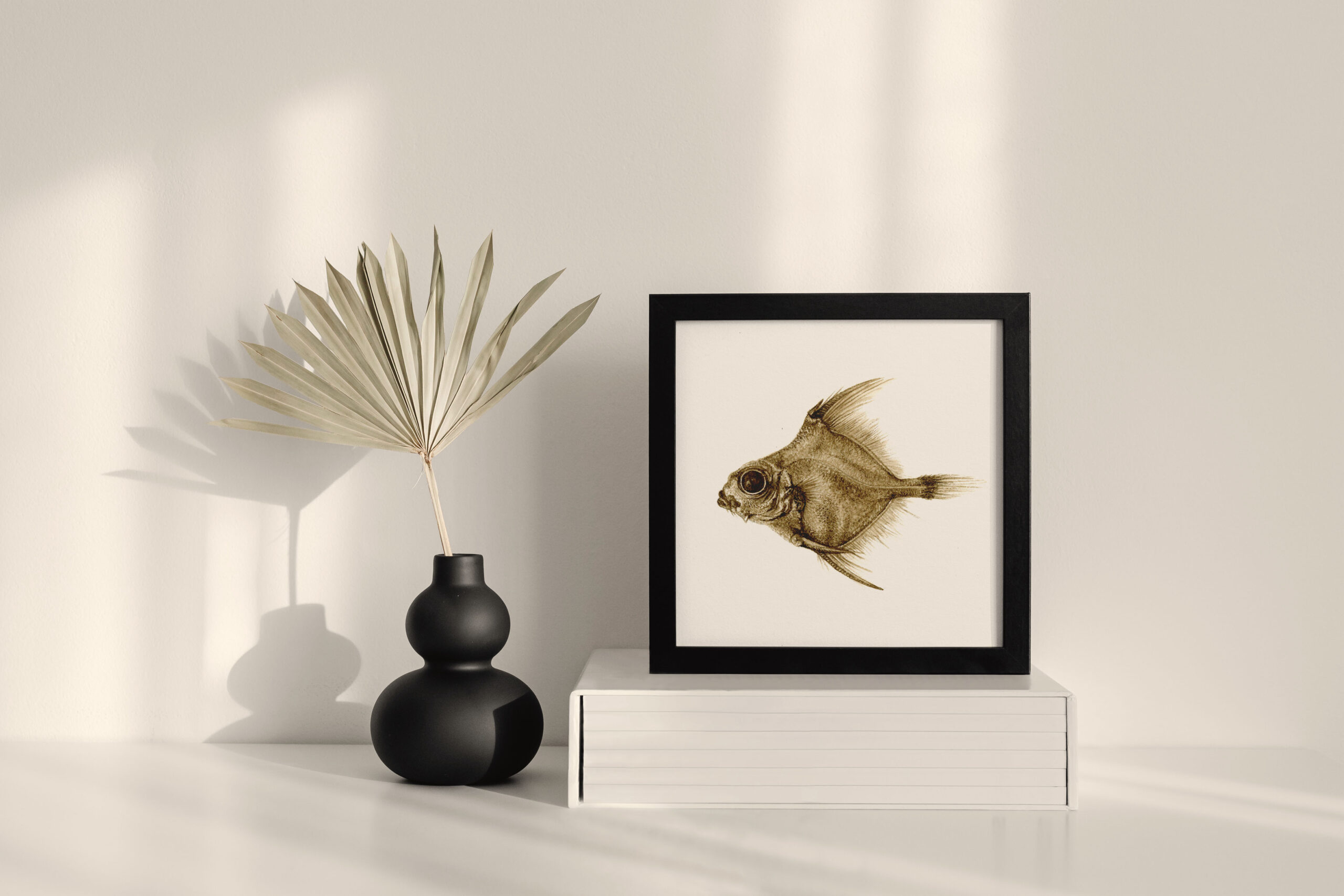 ORIGINAL // Creatures from the deep sea - Oreo Dory #1 // framed // 130 x 130 mm // Painted with Deep Sea Sediment - Image 2