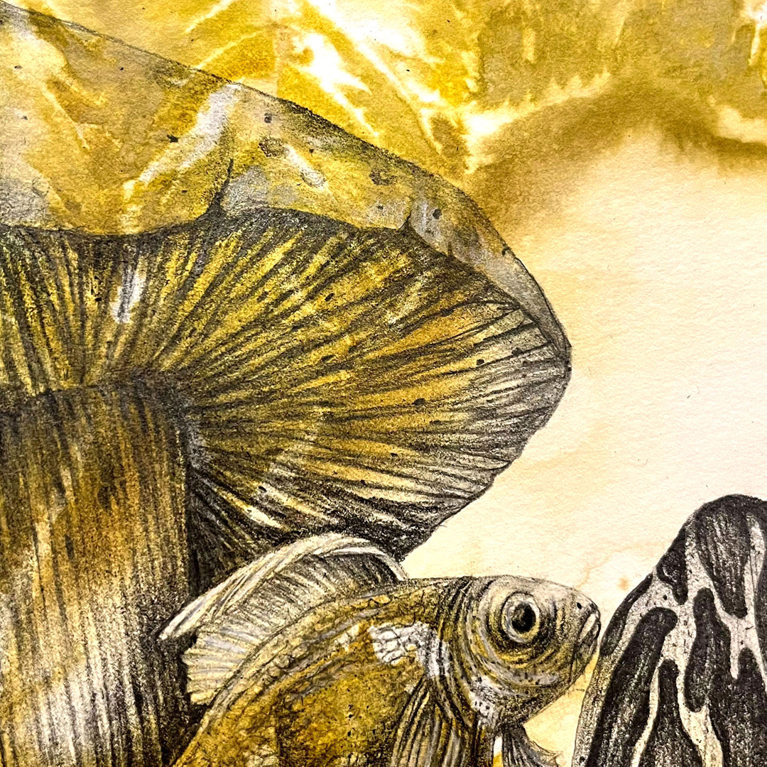 limnlines_tales from under the leaves_detail_2