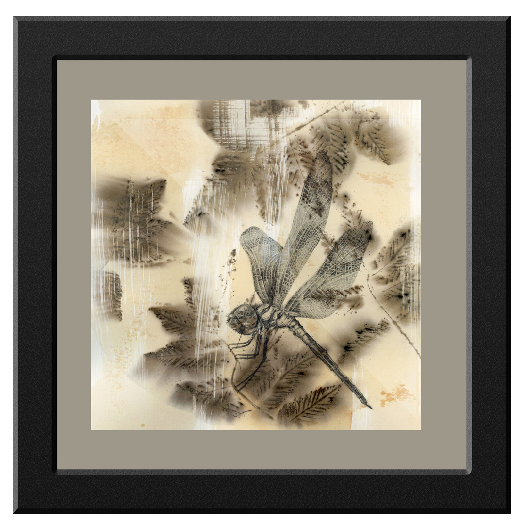 limnlines_ecoprint_tracing_insects_dragonfly